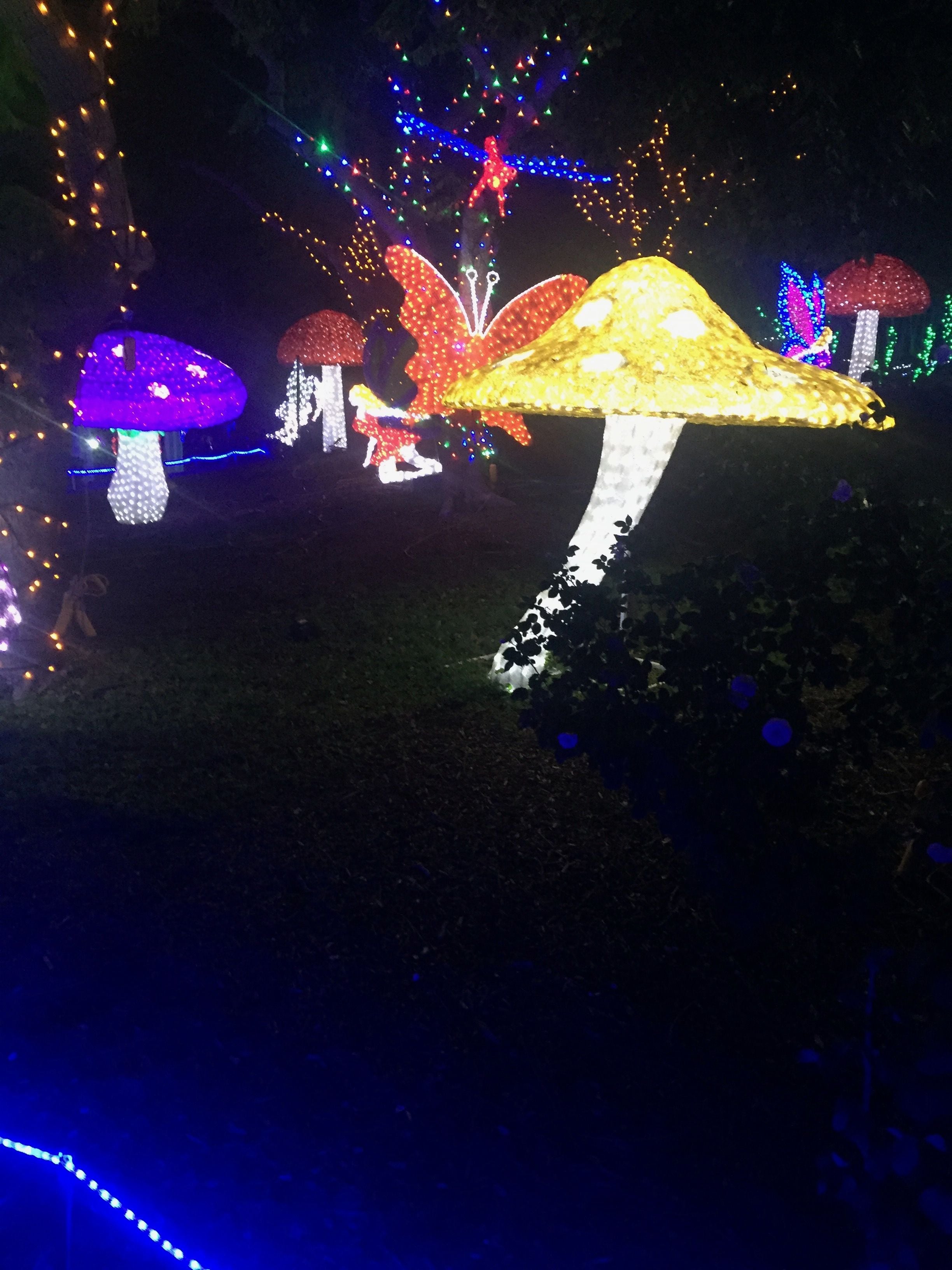 Hunter Valley Christmas Lights Spectacular Image -5b3abbdf6c30e
